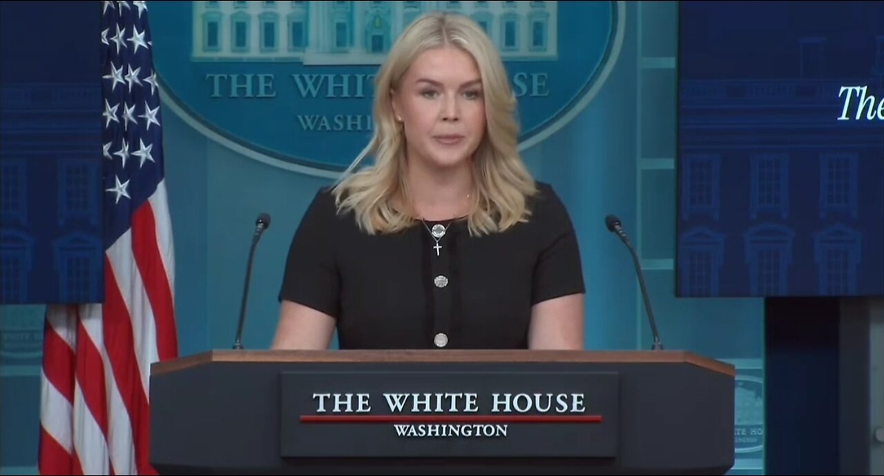 Karoline Leavitt's Message To Americans In Blue Cities