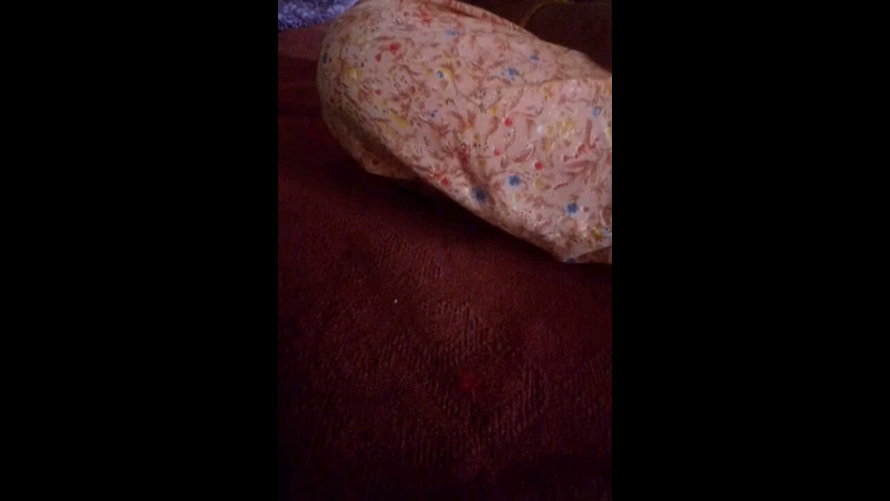 satisfying Video