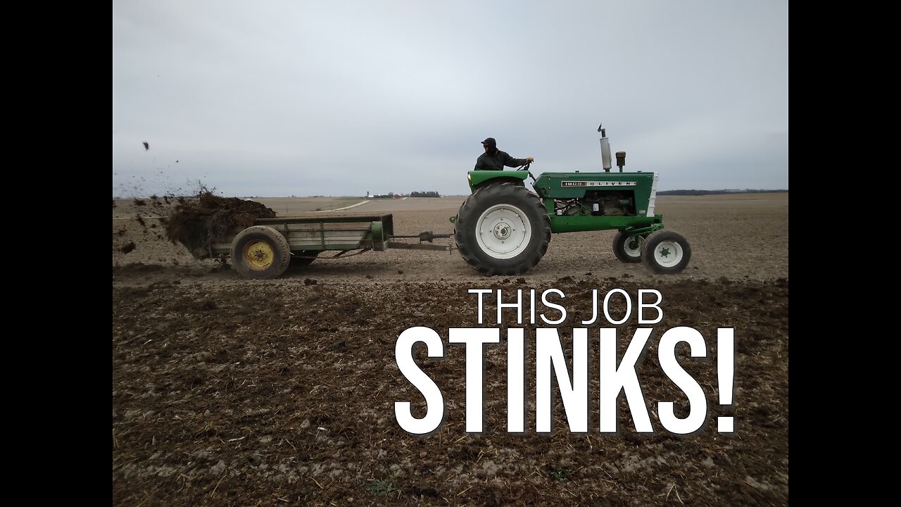 This Job Stinks!--Hauling manure with the Oliver 1800