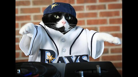 Kitty and bass