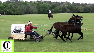 Muley Wagon Race - The 1836 Chuckwagon Races 2022 | Saturday