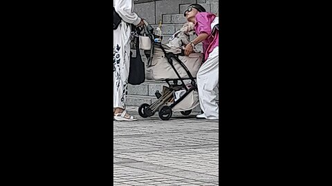 20250703. ONLY YOON. YOON AGAIN.