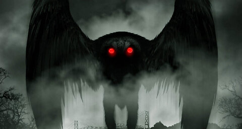 Flying Cat-Fairy and Mothman Sightings