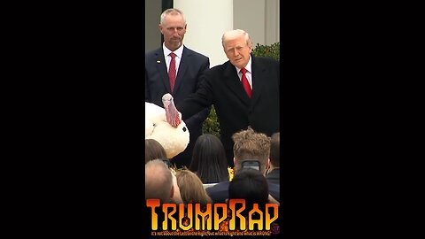 Trump Pardons Turkeys Gobble and Waddle in Annual Thanksgiving Tradition