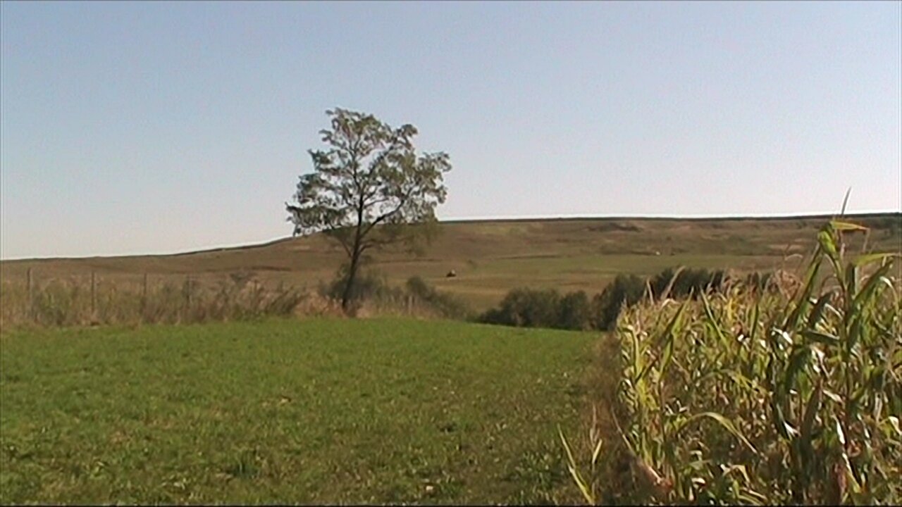 Suceava, 2012