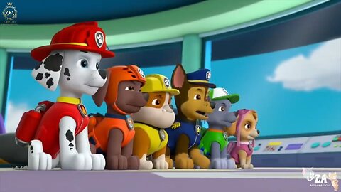 PAW Patrol Cartoons
