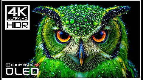 Most High Quality Dolby Vision 4K 120 FPS HDR Video