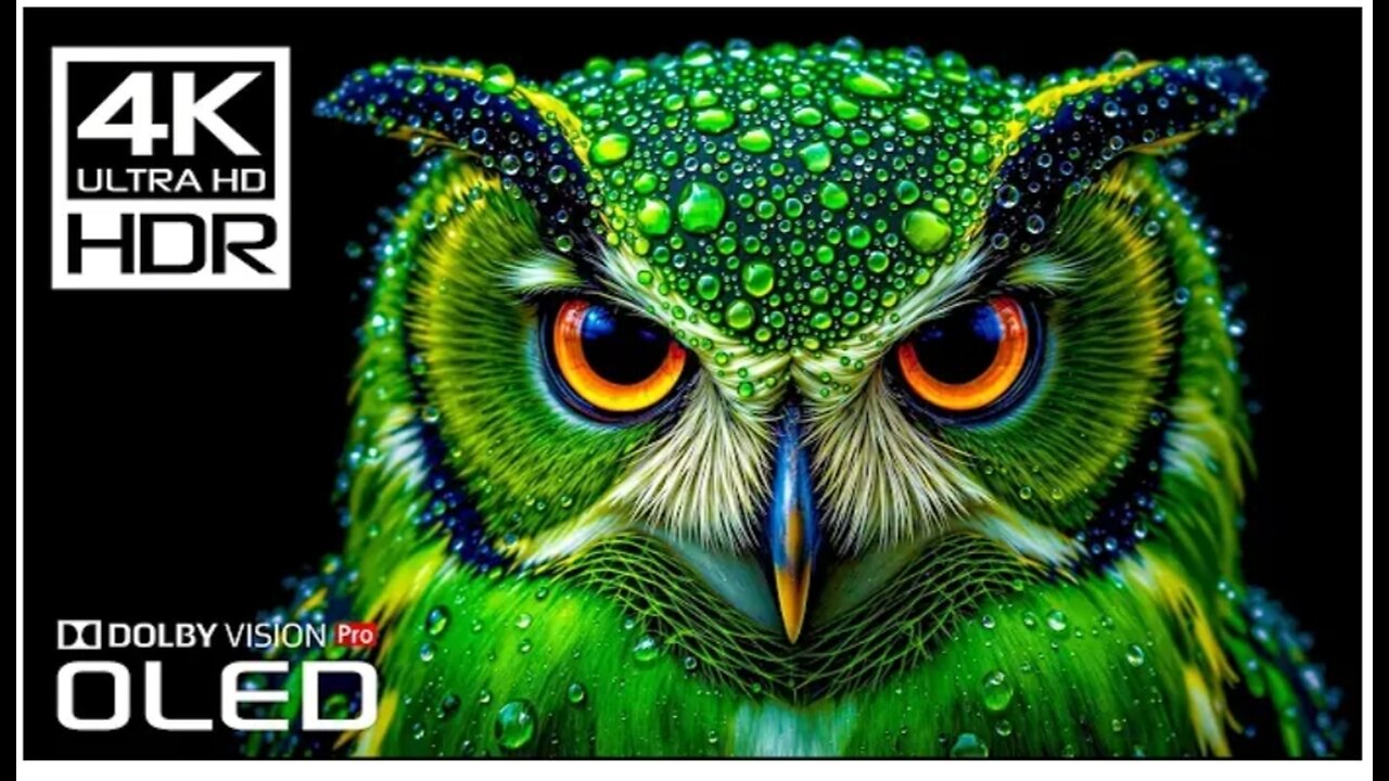Most High Quality Dolby Vision 4K 120 FPS HDR Video
