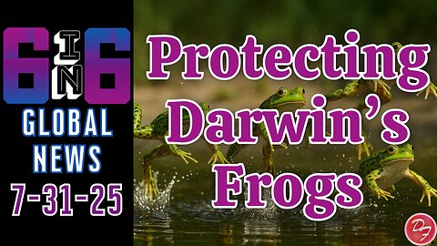 Protecting the Darwin Frog - 6-in-6 - 7/31/25