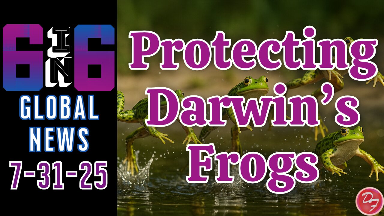 Protecting the Darwin Frog - 6-in-6 - 7/31/25