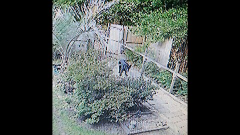 Bill and Melinda Gates Epstein connection to mosquito abatement