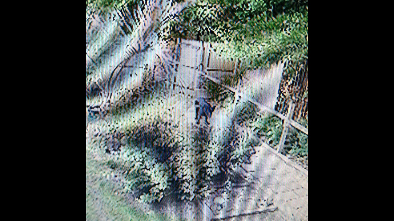 Bill and Melinda Gates Epstein connection to mosquito abatement