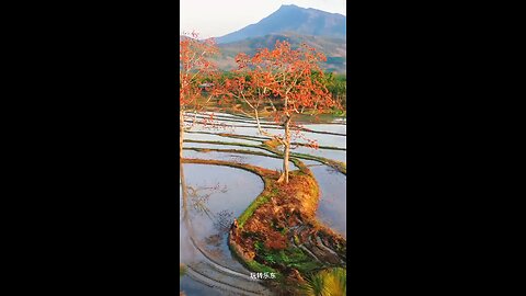beautiful nature