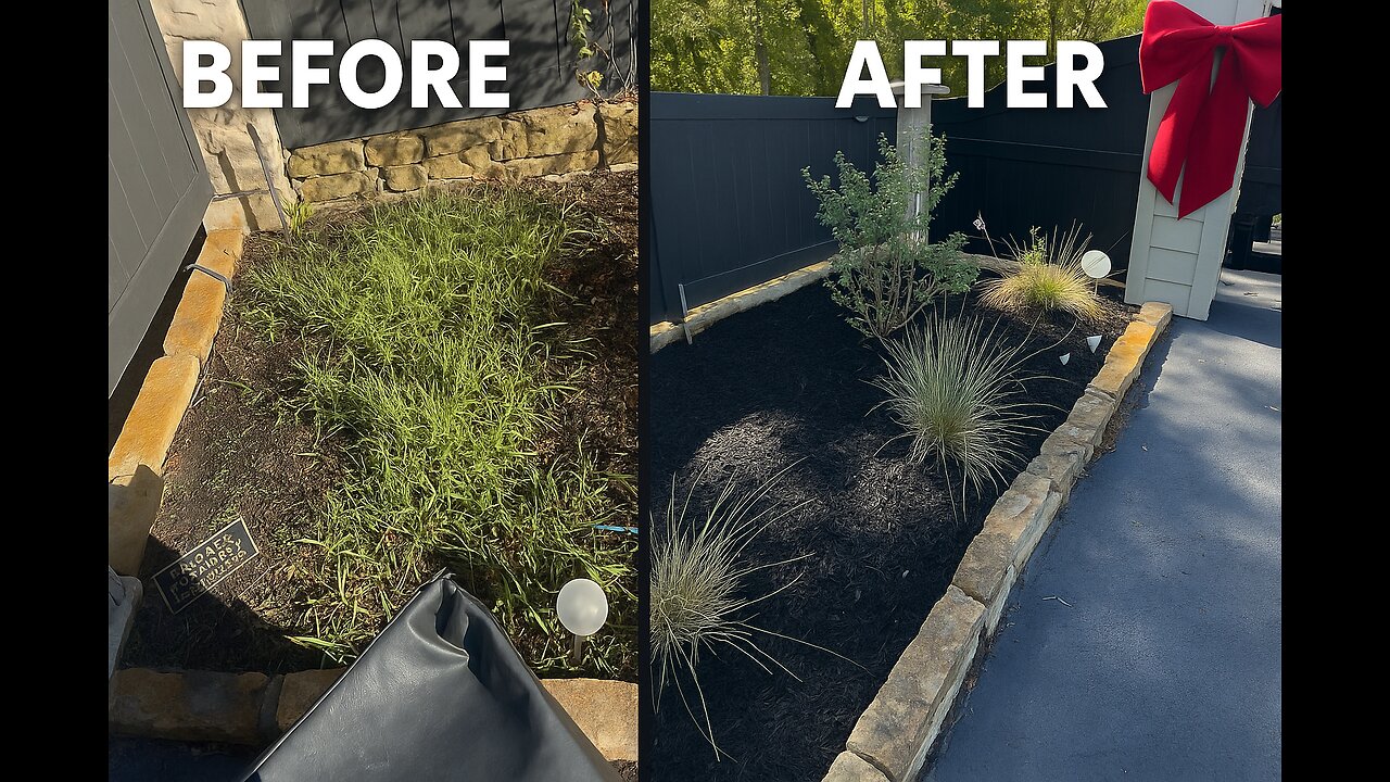 This Simple Trick Completely Changed Our Front Yard!