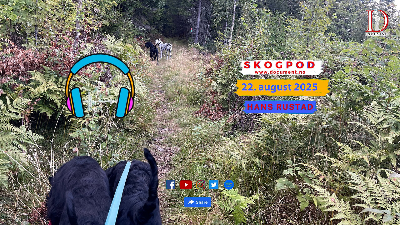 Skogpod 22. august 2025