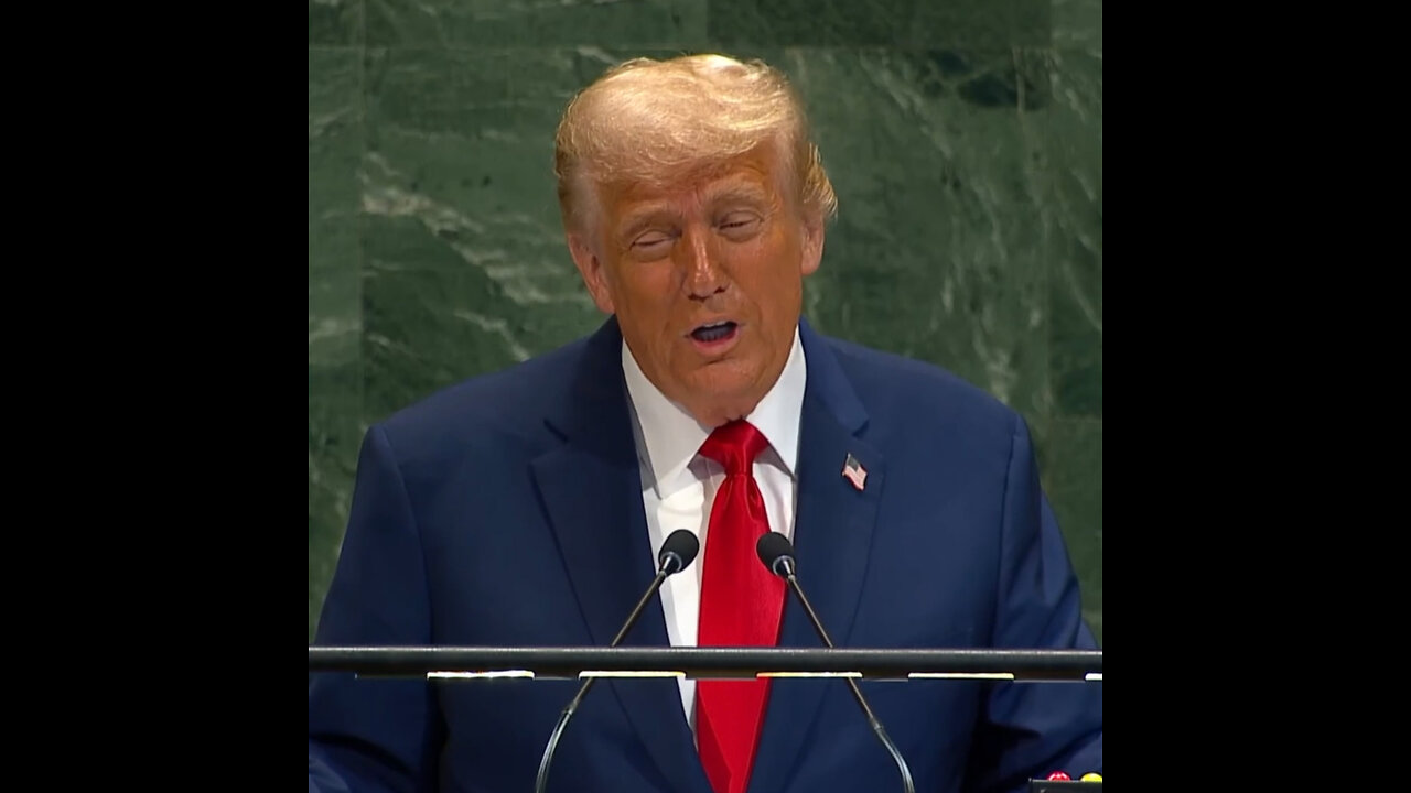 "Todo lo que recibí de la ONU fue una escalera mecánica rota y un teleprónter fallado"