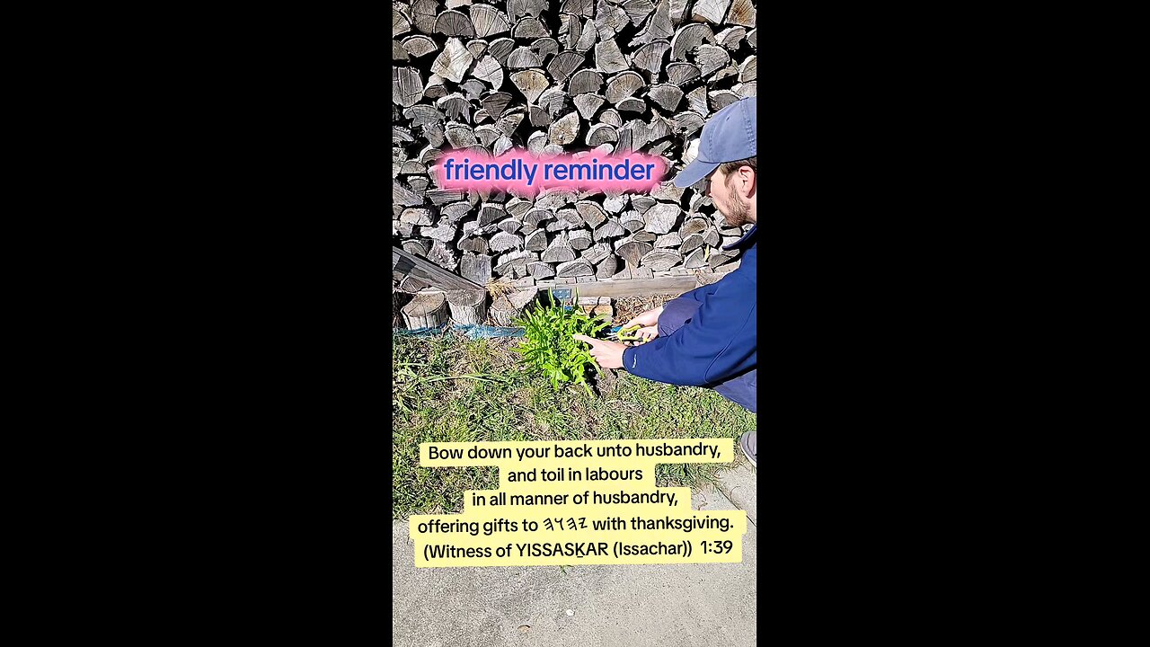 Friendly Reminder to Grow Your Own + Hummus Recipe