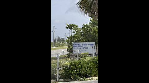 Nathaniel P. Reed Hobe Sound National Wildlife Refuge | 4K