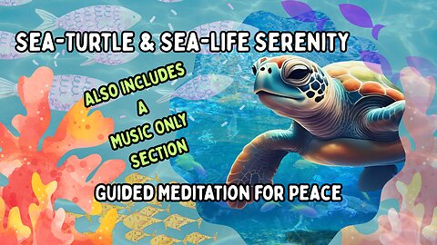 Mindfulness Sea-Life Serenity for Calm