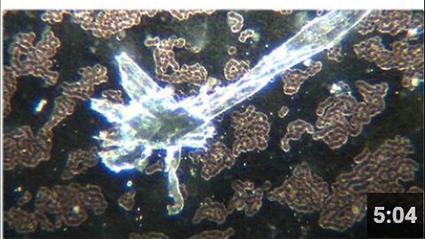 "Greg Reese: Programmable Human Interface of Hydrogels in COVID Vaccine"