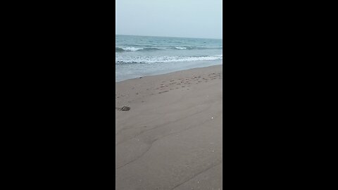 ocean