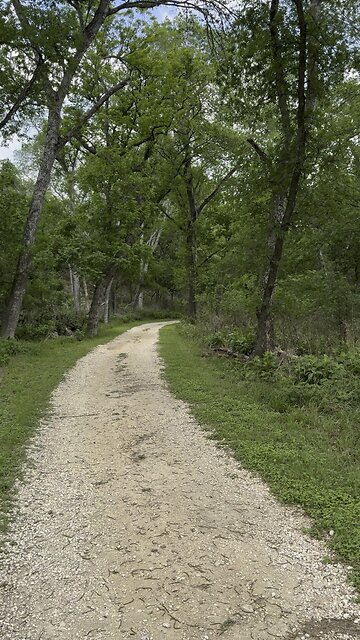 Tripping out how deep it is so green
