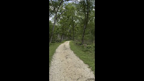 Tripping out how deep it is so green