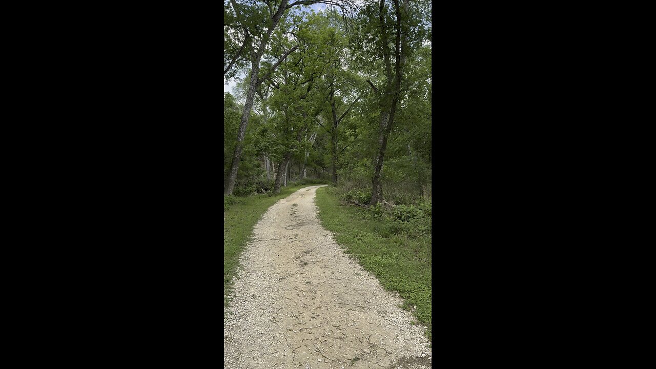 Tripping out how deep it is so green