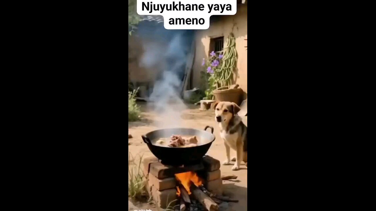 dog food