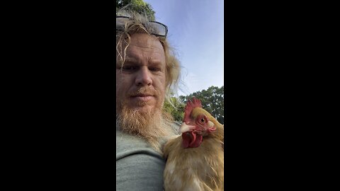 Minecraft Lava 🔥 chicken 🍗 for the Buffy