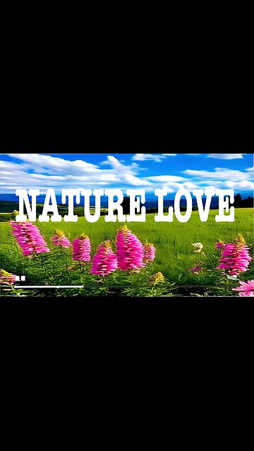 Love Nature