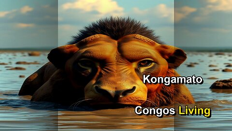 Kongamato: Congo's Living Pterosaur?