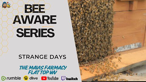 Strange Days | Bee Aware Series : Being are acting like they want to swarm