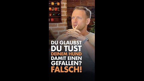 🤔🐶 Du glaubst, dass du deinem Hund damit einen Gefallen tust? Falsch!!!