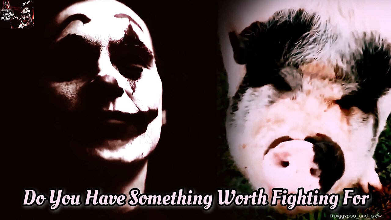 The Only Value That Matters (Short)