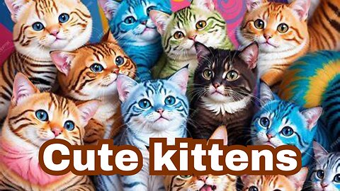 Cutest kitten's