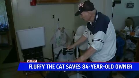 USA today news cat save the owner life 😱😱 watch full Vedio with details