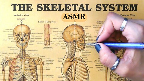 ASMR Tracing the Skeletal System (whispers, paper tracing)