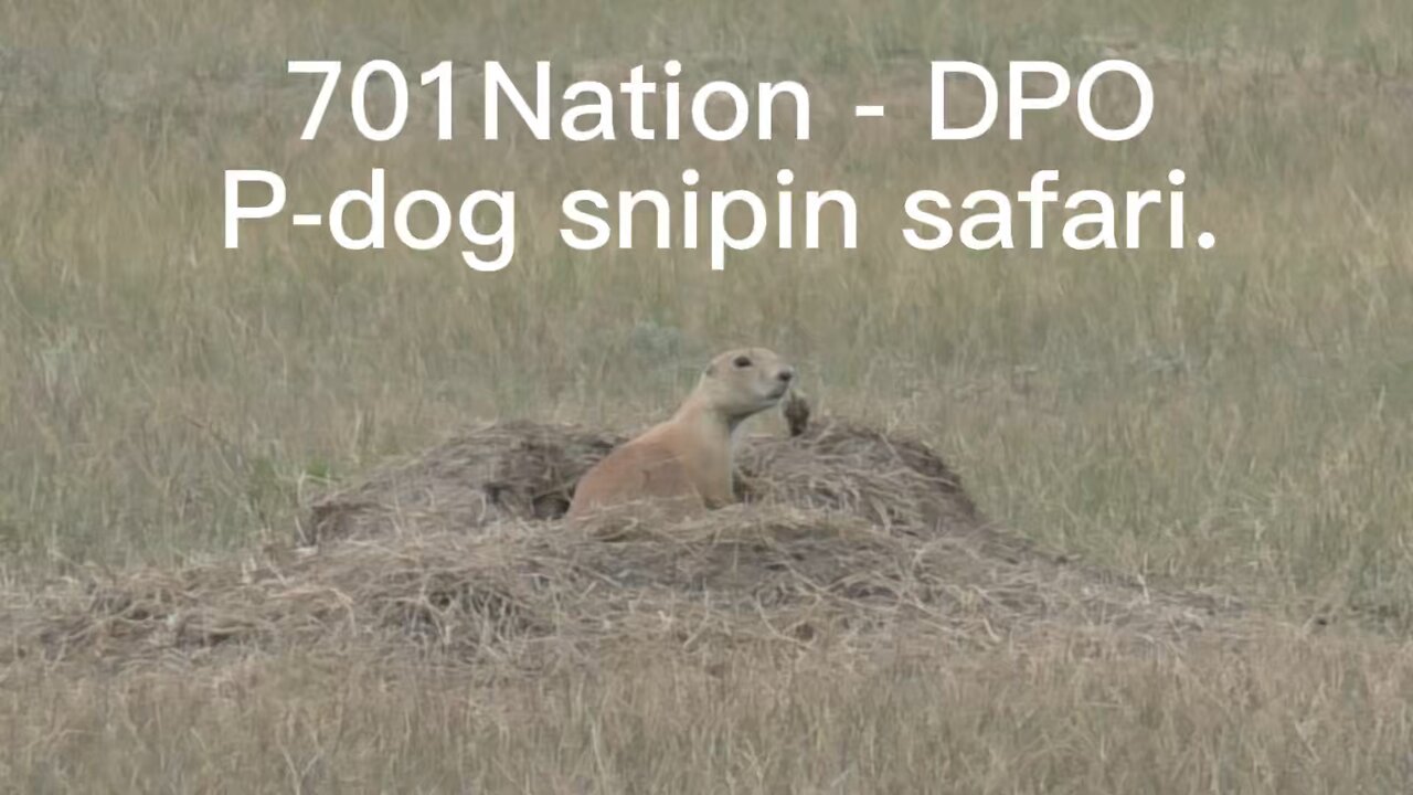 Varmint sniping in SW North Dakota. thumbnail