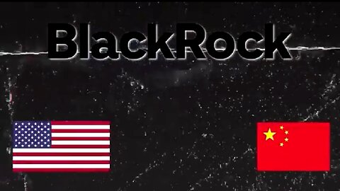 BLACKROCK THE MOST EVIL BUSINESS IN THE WORLD 💣