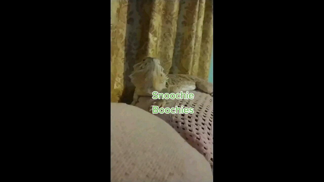 Snoogans