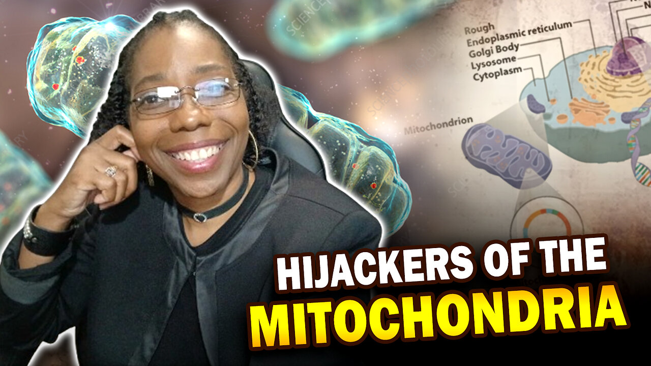 Hi Jackers of the Mitochondria: The Truth About DNA, Source Power & Hybrid Humanity