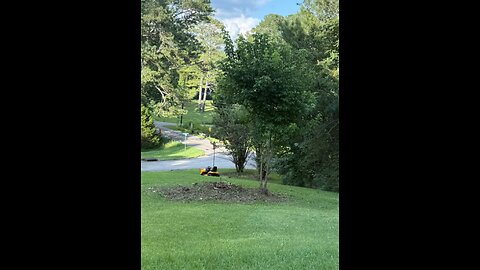 Flash Quality Lawn Maintenance
