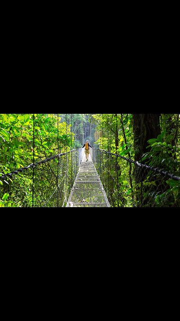 A Peaceful Day in the Jungles of Costa Rica | Pure Nature & Wild Serenity