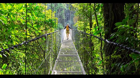 A Peaceful Day in the Jungles of Costa Rica | Pure Nature & Wild Serenity