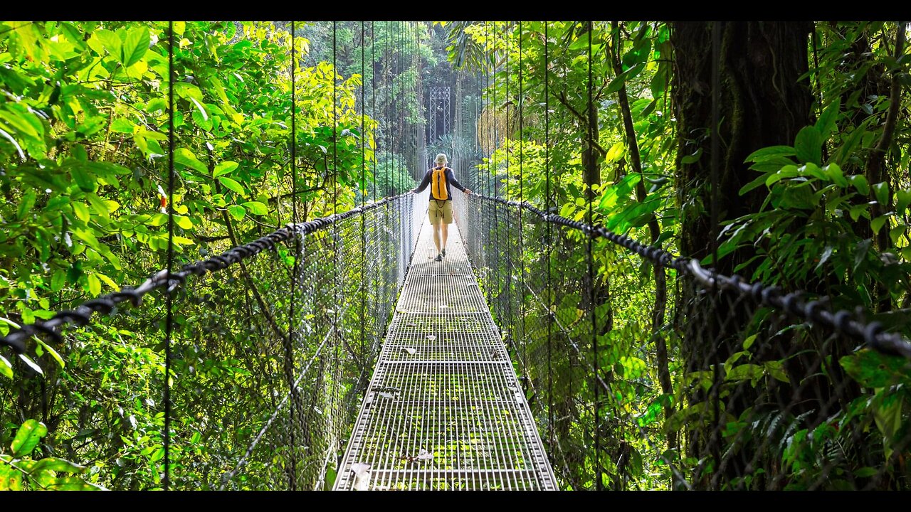 A Peaceful Day in the Jungles of Costa Rica | Pure Nature & Wild Serenity