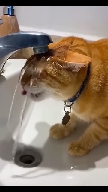 You could watch this forever!