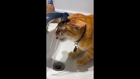 You could watch this forever!