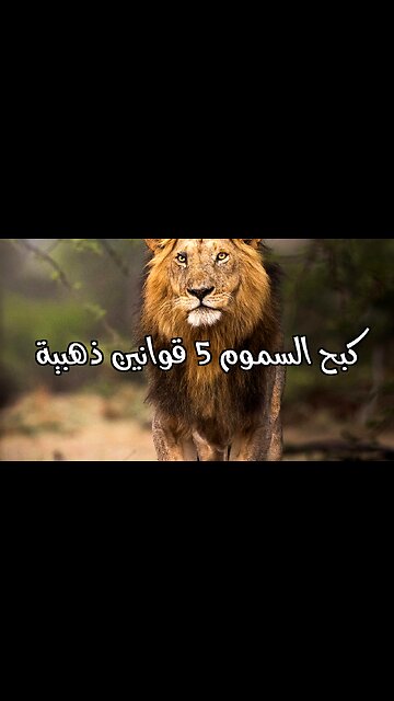 5 قوانين ذهبية لـِ صدّ الانتقادات السامة!