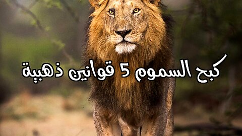 5 قوانين ذهبية لـِ صدّ الانتقادات السامة!